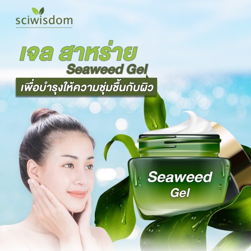 GFM-FG0703-เจล สาหร่าย (Seaweed Gel)